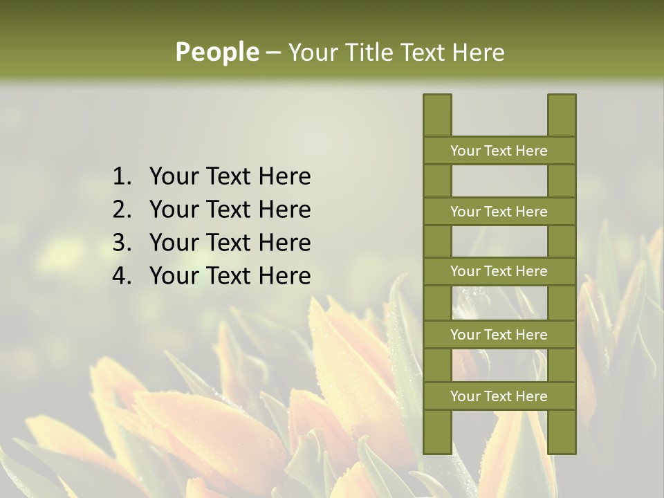 Table Bu Ine Company PowerPoint Template