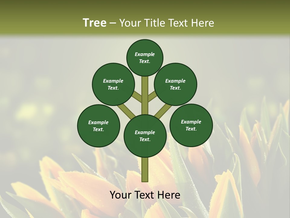 Table Bu Ine Company PowerPoint Template