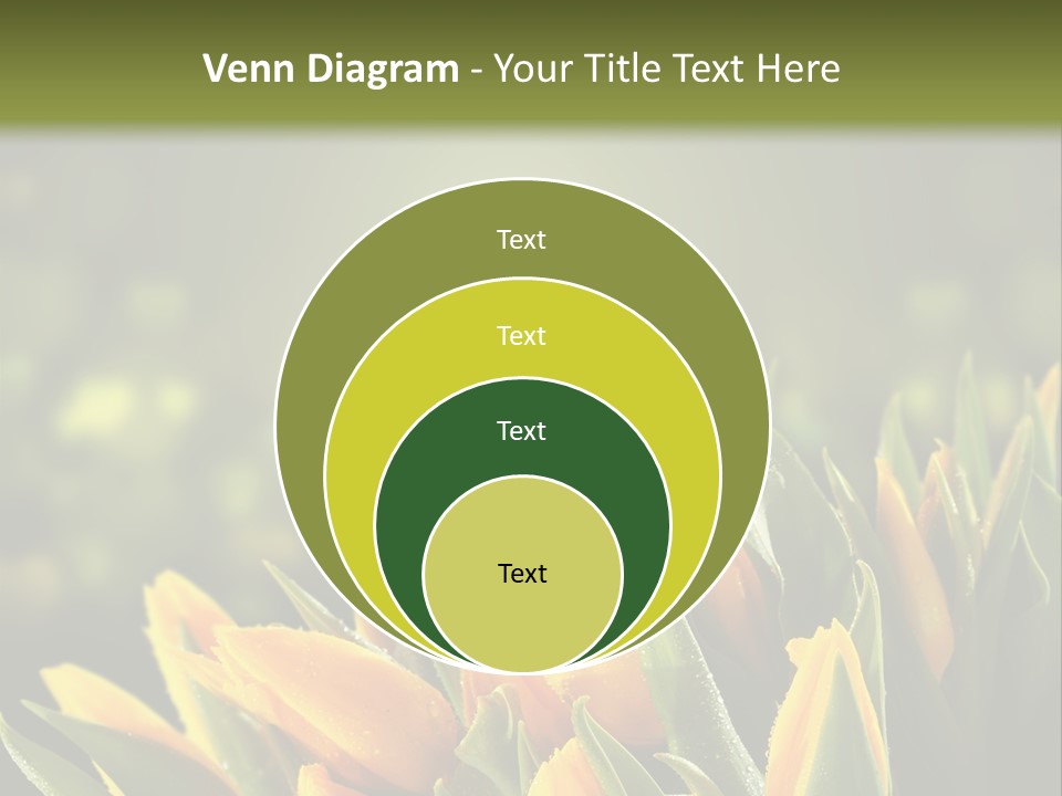 Table Bu Ine Company PowerPoint Template