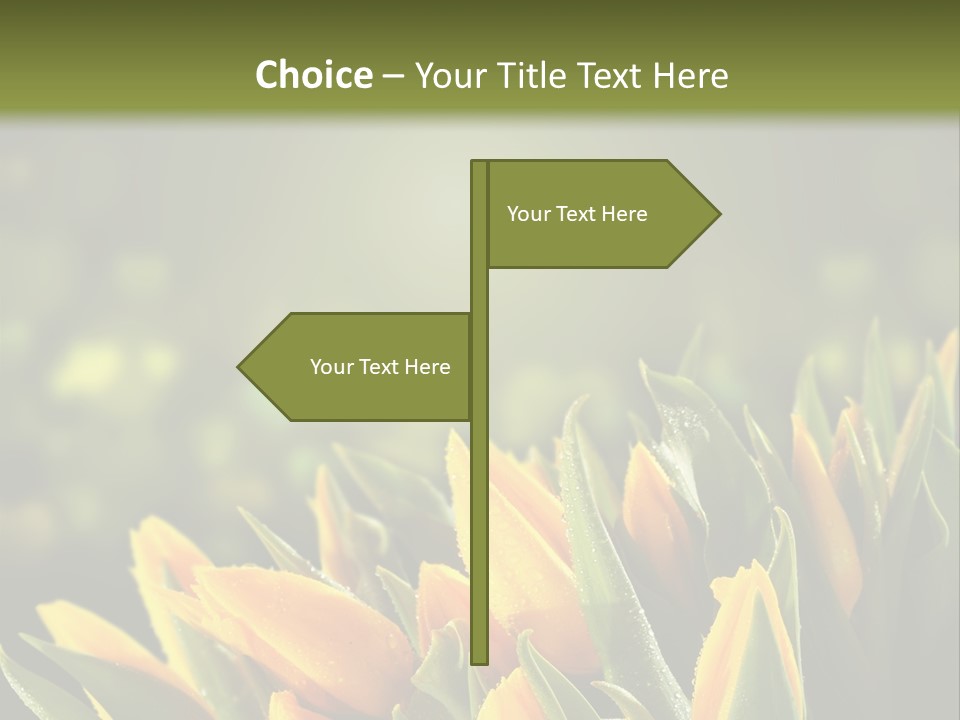 Table Bu Ine Company PowerPoint Template