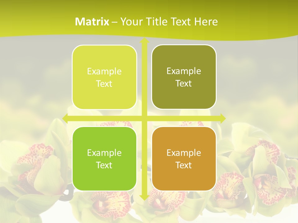 Office Meeting Conference PowerPoint Template