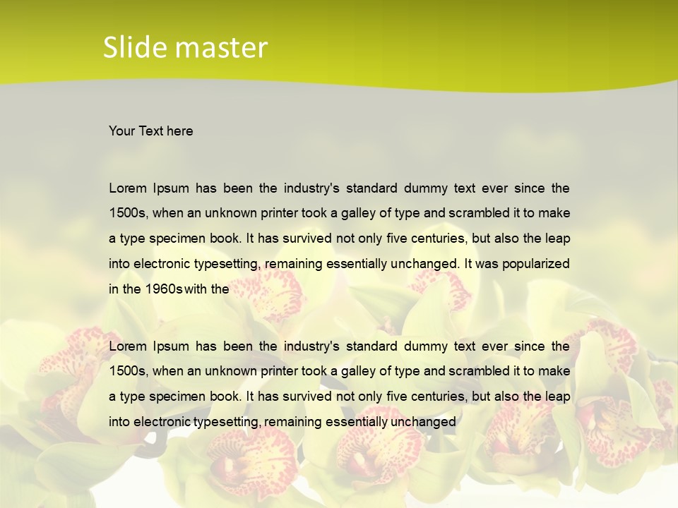 Office Meeting Conference PowerPoint Template