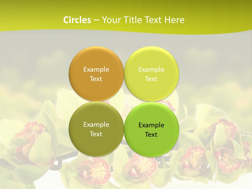 Office Meeting Conference PowerPoint Template