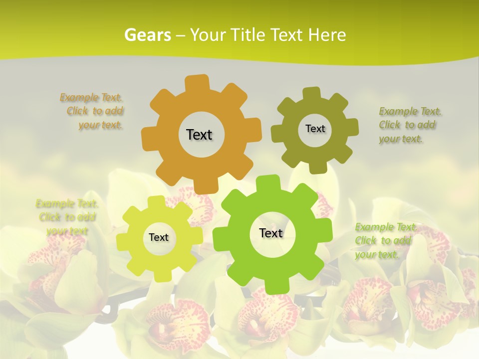 Office Meeting Conference PowerPoint Template