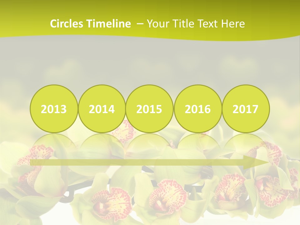 Office Meeting Conference PowerPoint Template