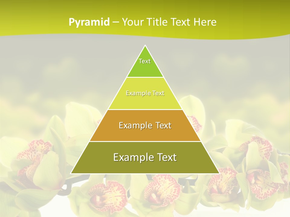 Office Meeting Conference PowerPoint Template