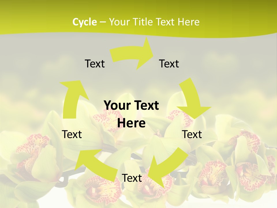 Office Meeting Conference PowerPoint Template