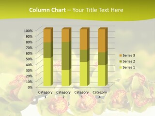 Office Meeting Conference PowerPoint Template