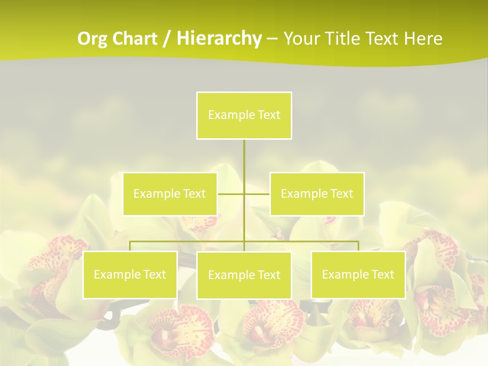 Office Meeting Conference PowerPoint Template