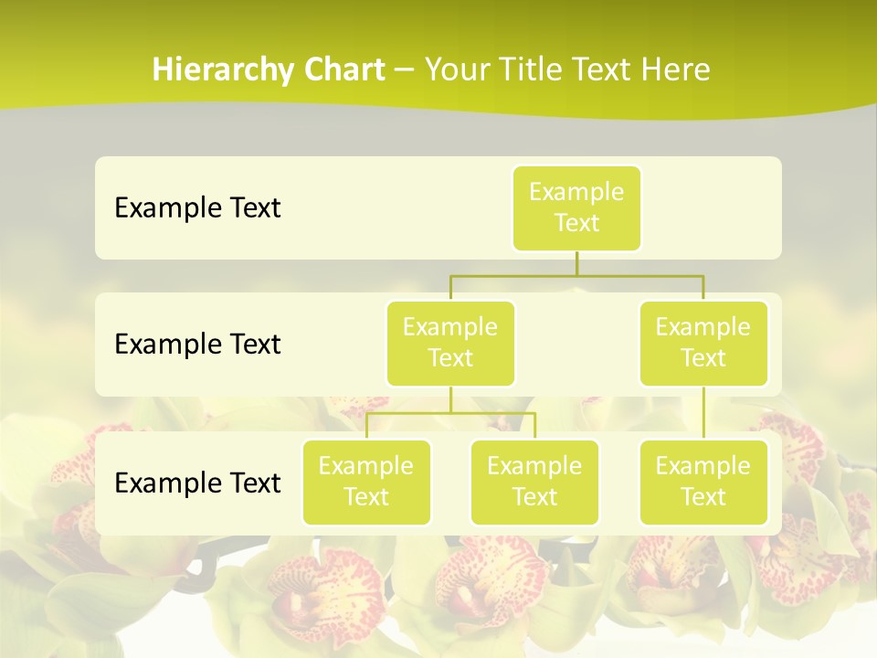 Office Meeting Conference PowerPoint Template