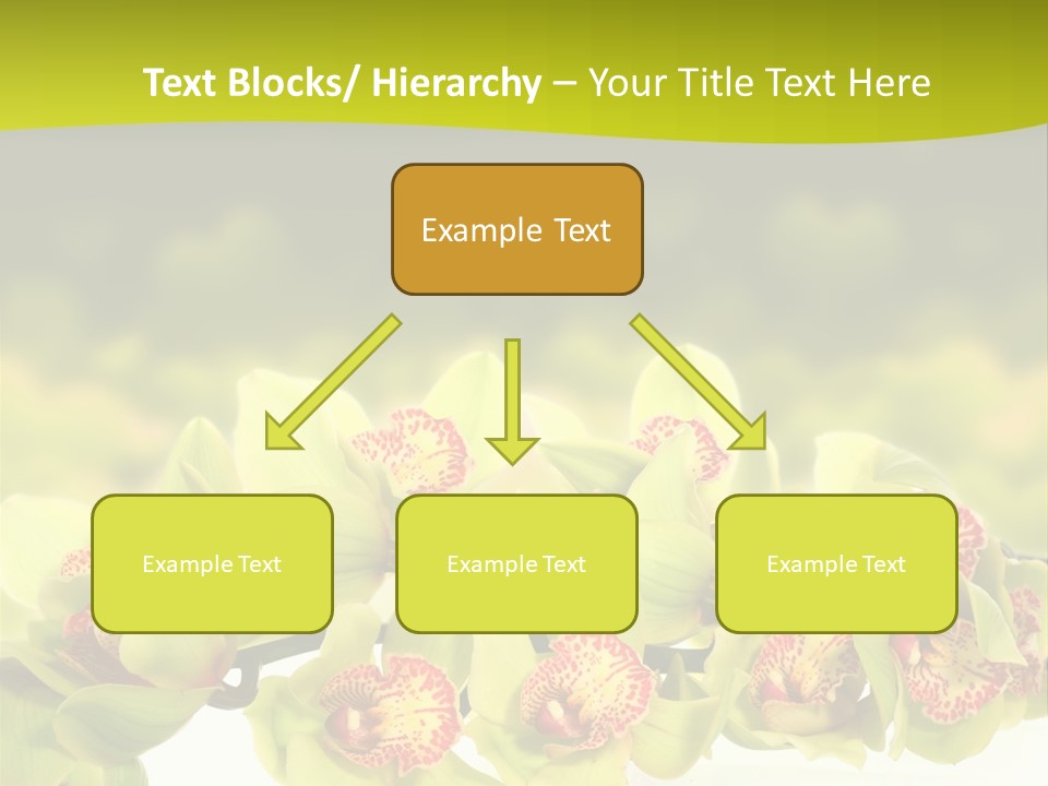 Office Meeting Conference PowerPoint Template