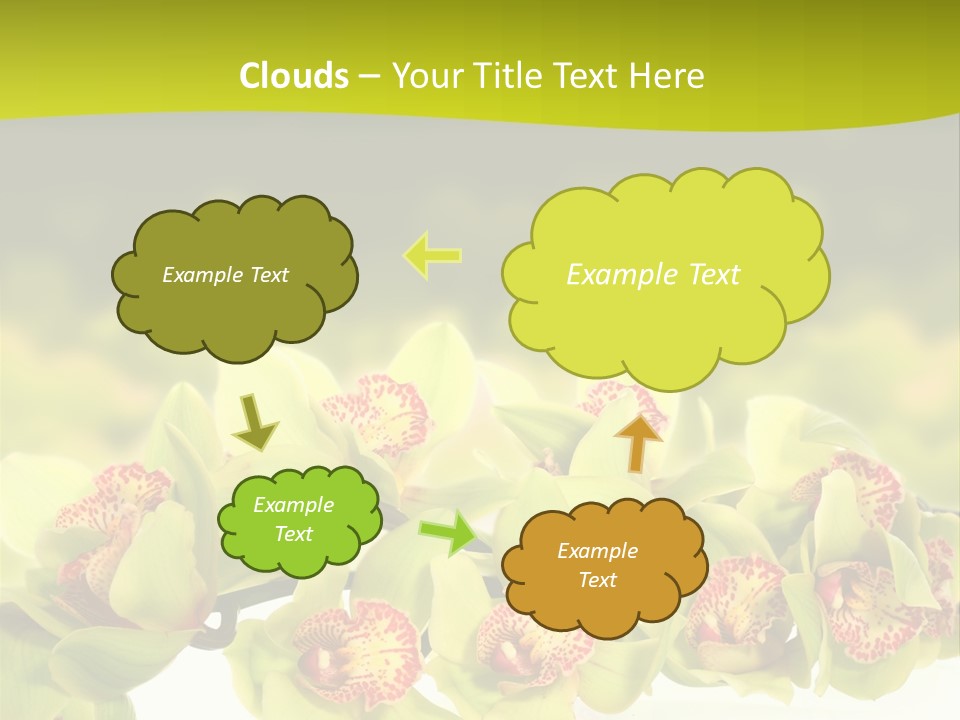 Office Meeting Conference PowerPoint Template