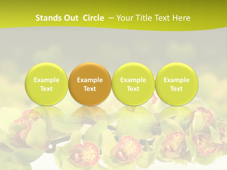 Office Meeting Conference PowerPoint Template