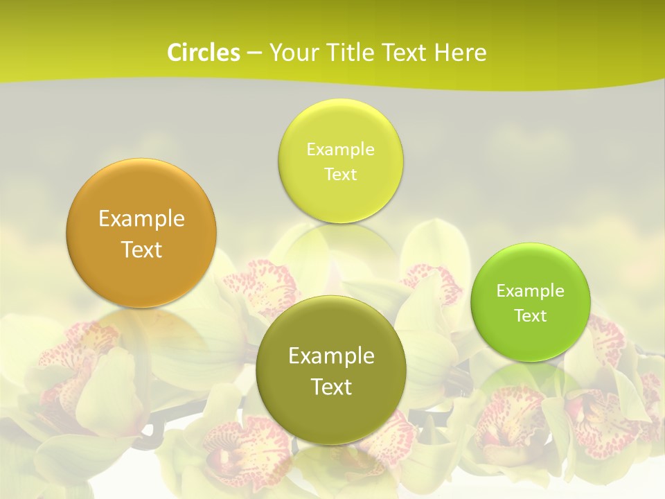 Office Meeting Conference PowerPoint Template