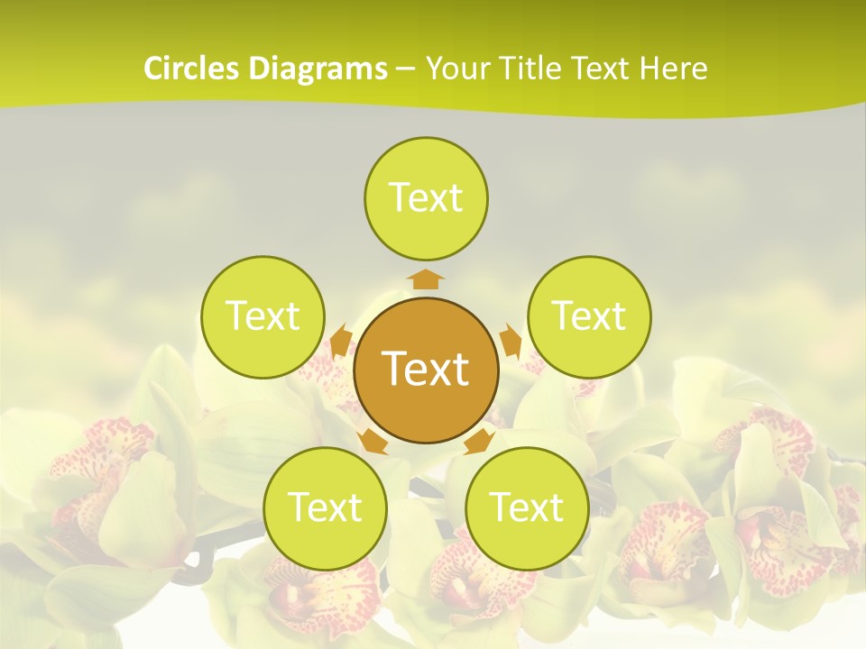 Office Meeting Conference PowerPoint Template