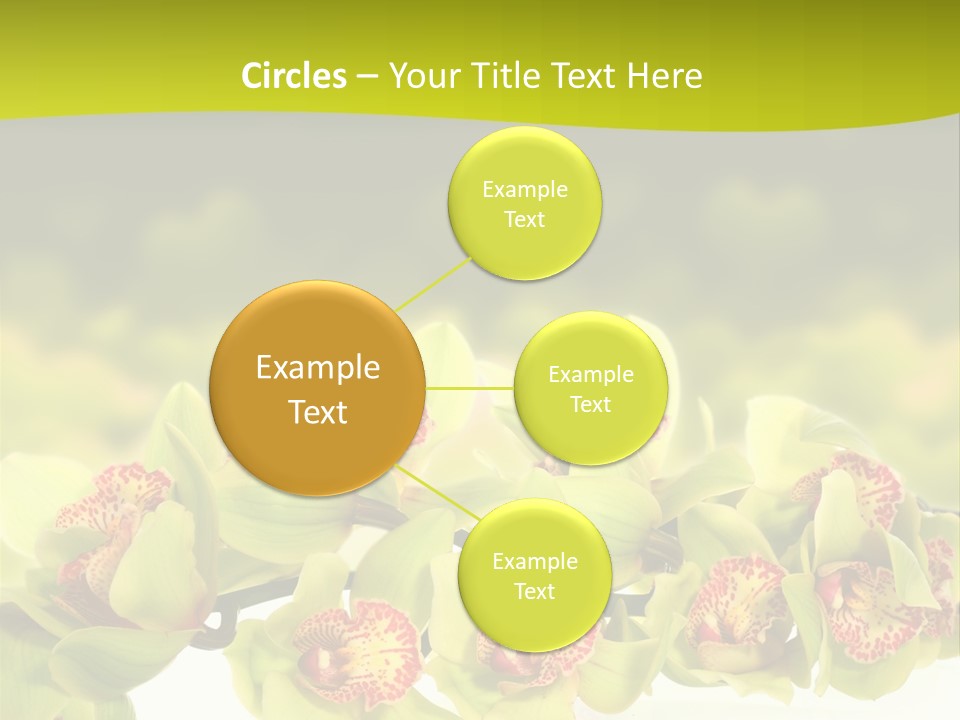 Office Meeting Conference PowerPoint Template