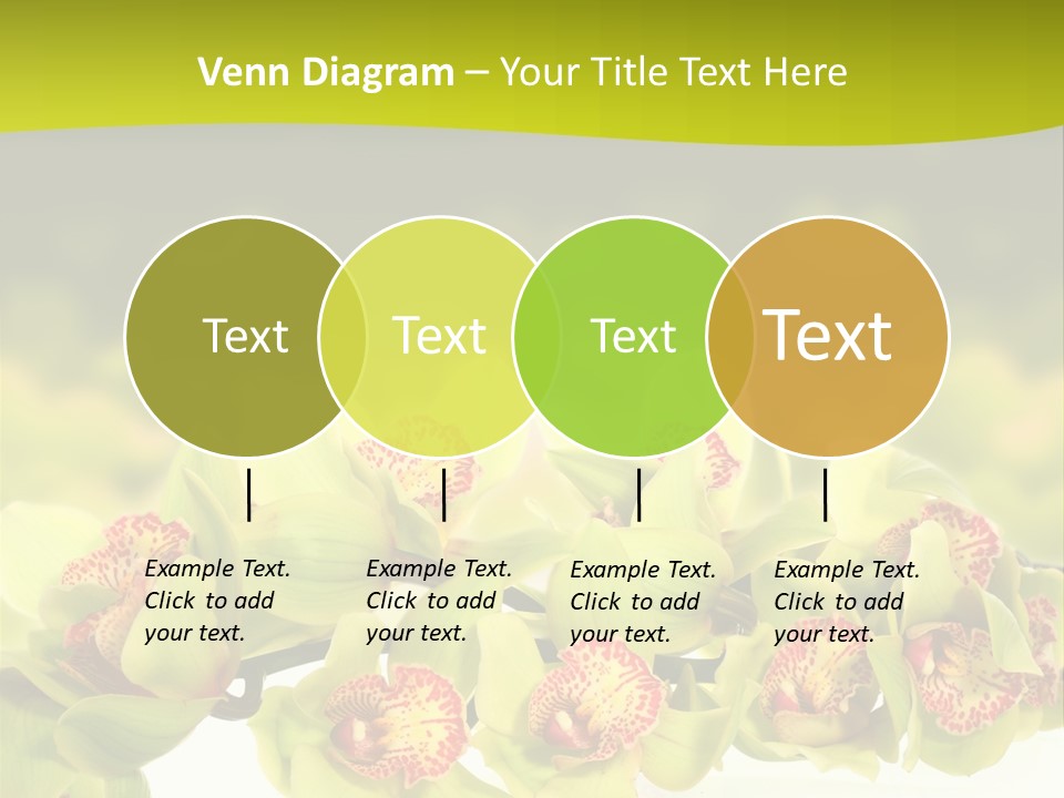 Office Meeting Conference PowerPoint Template