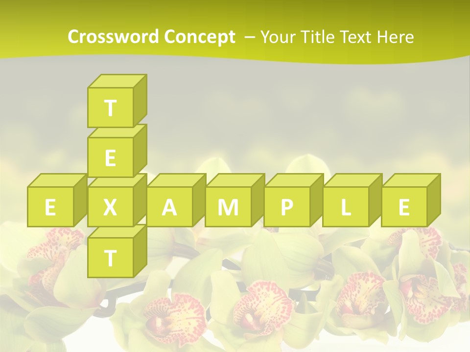 Office Meeting Conference PowerPoint Template