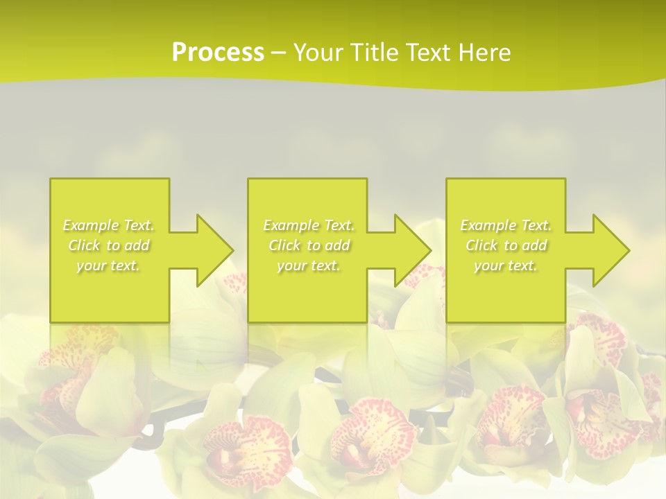 Office Meeting Conference PowerPoint Template
