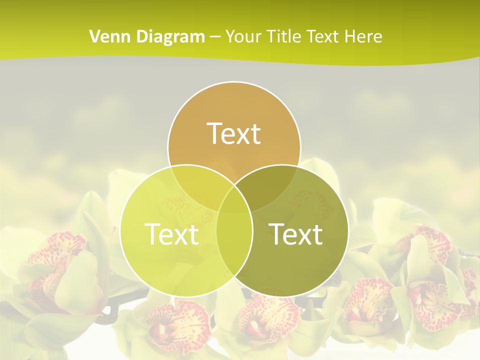 Office Meeting Conference PowerPoint Template