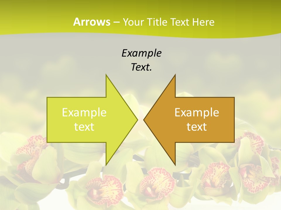 Office Meeting Conference PowerPoint Template