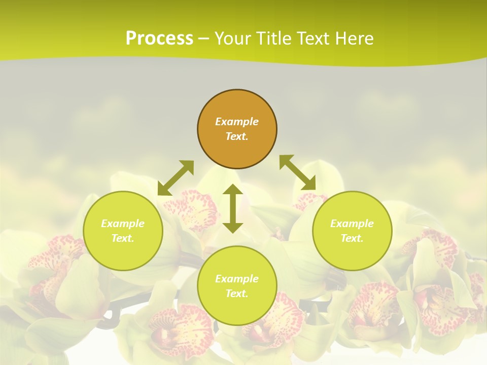 Office Meeting Conference PowerPoint Template