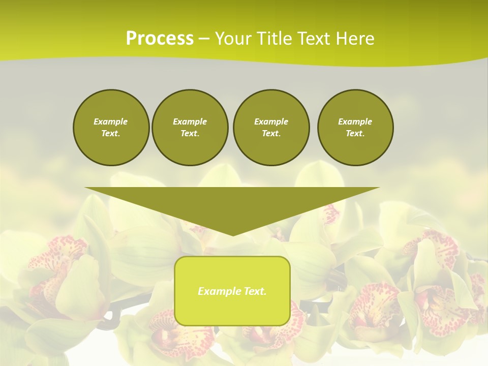 Office Meeting Conference PowerPoint Template