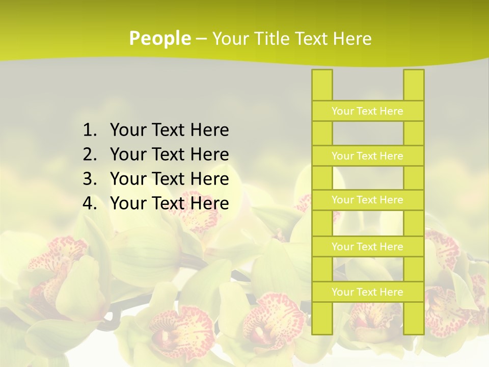 Office Meeting Conference PowerPoint Template