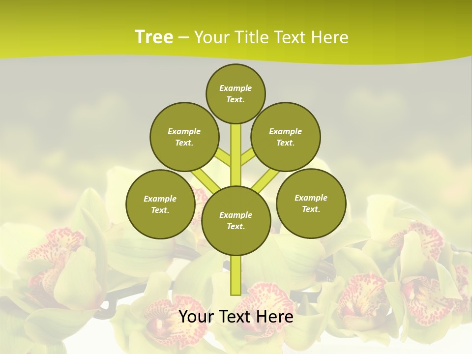 Office Meeting Conference PowerPoint Template