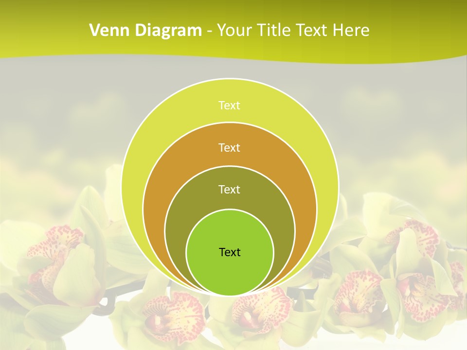 Office Meeting Conference PowerPoint Template