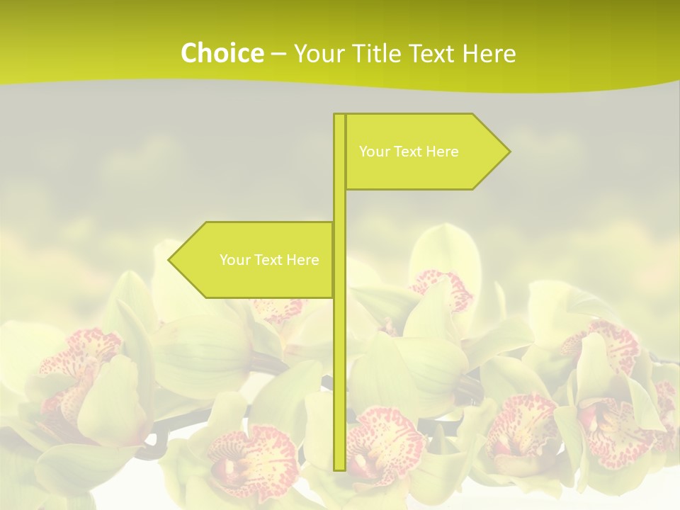 Office Meeting Conference PowerPoint Template