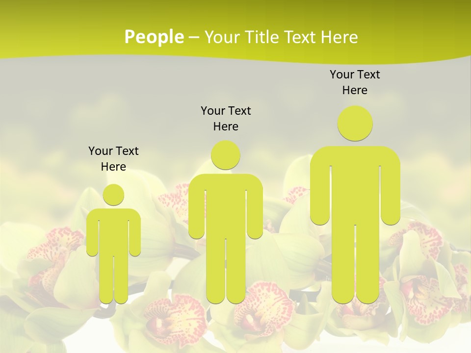 Office Meeting Conference PowerPoint Template