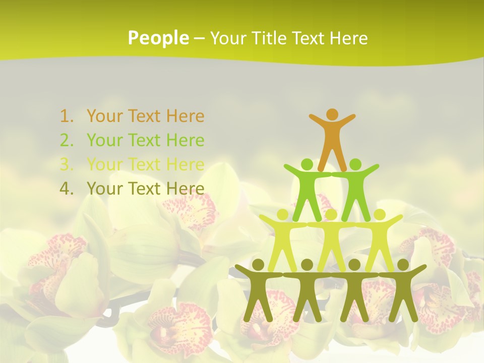 Office Meeting Conference PowerPoint Template