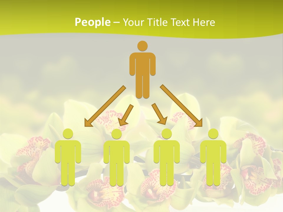 Office Meeting Conference PowerPoint Template