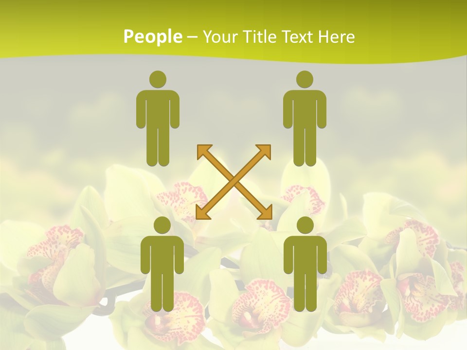 Office Meeting Conference PowerPoint Template