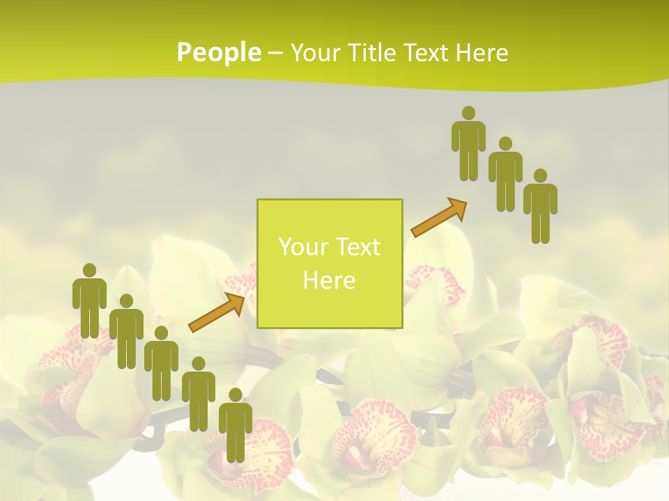 Office Meeting Conference PowerPoint Template