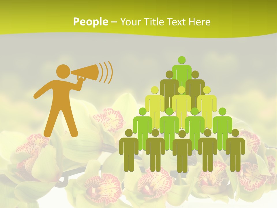 Office Meeting Conference PowerPoint Template