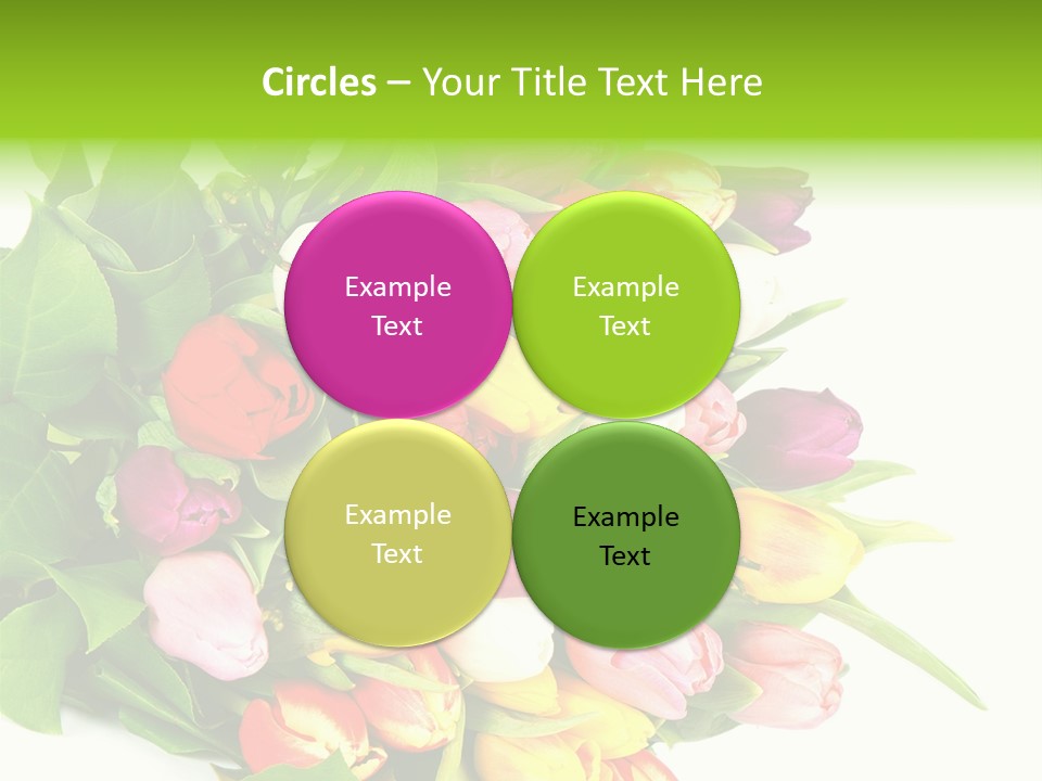 Isolated Foliage Plant PowerPoint Template