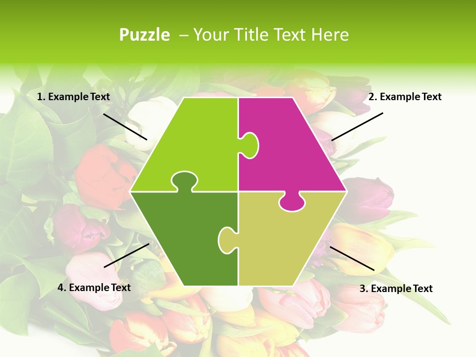 Isolated Foliage Plant PowerPoint Template