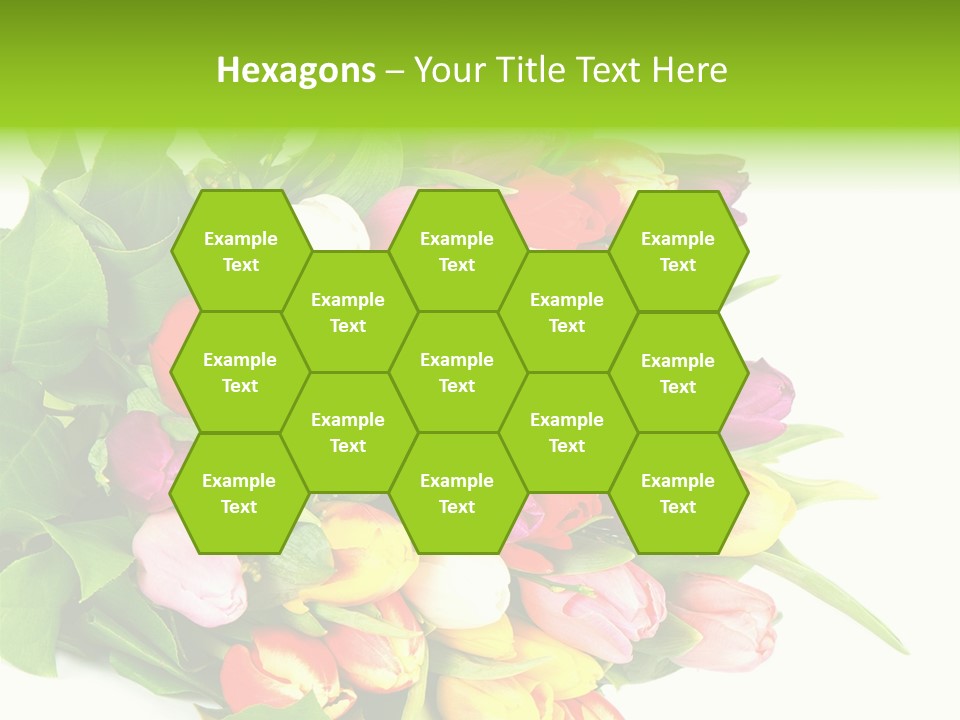 Isolated Foliage Plant PowerPoint Template