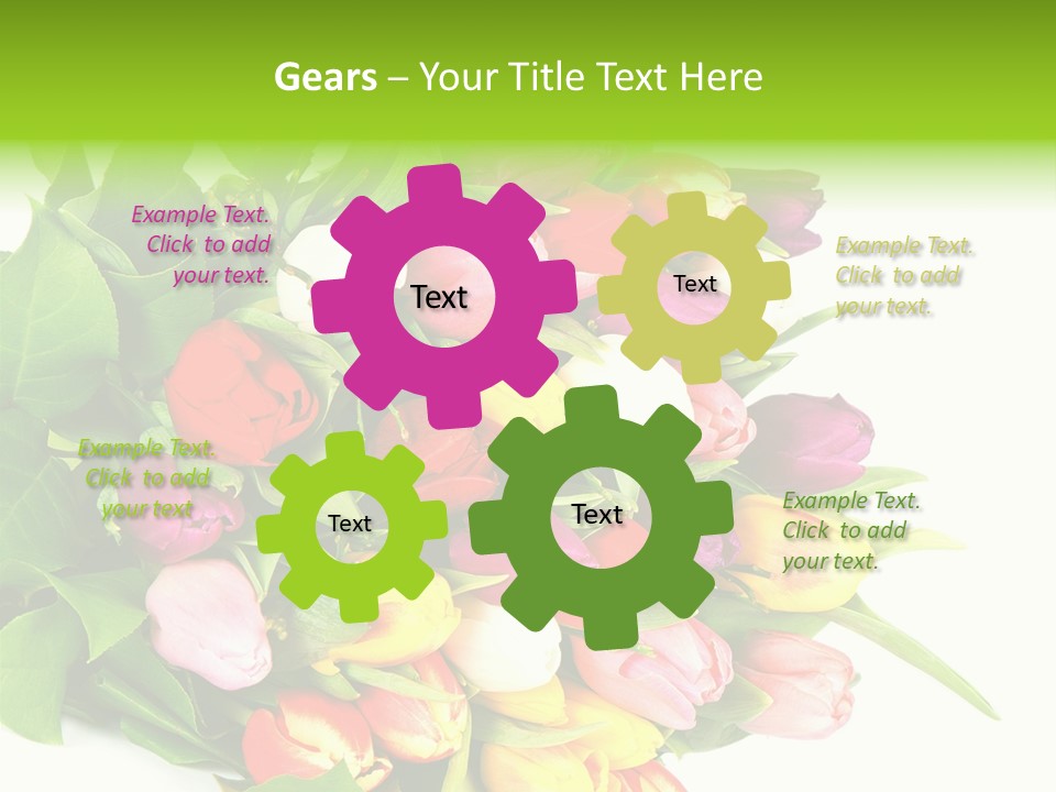 Isolated Foliage Plant PowerPoint Template