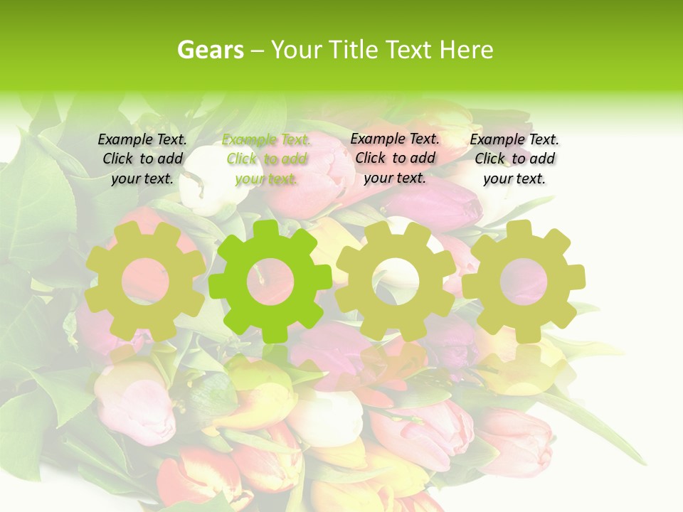 Isolated Foliage Plant PowerPoint Template