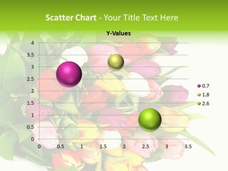 Isolated Foliage Plant PowerPoint Template