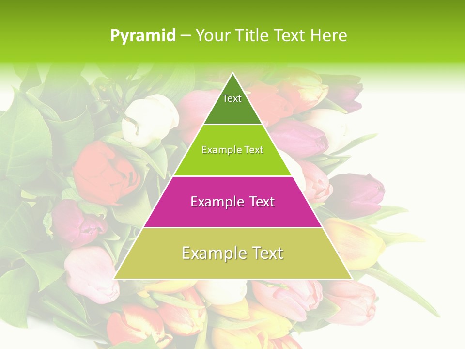 Isolated Foliage Plant PowerPoint Template