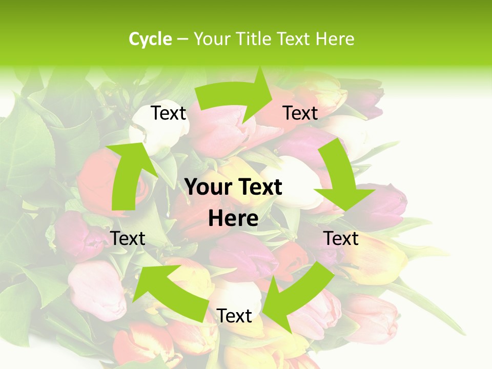 Isolated Foliage Plant PowerPoint Template