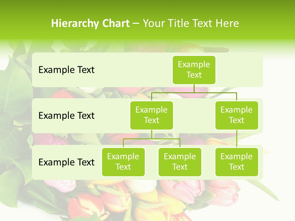 Isolated Foliage Plant PowerPoint Template