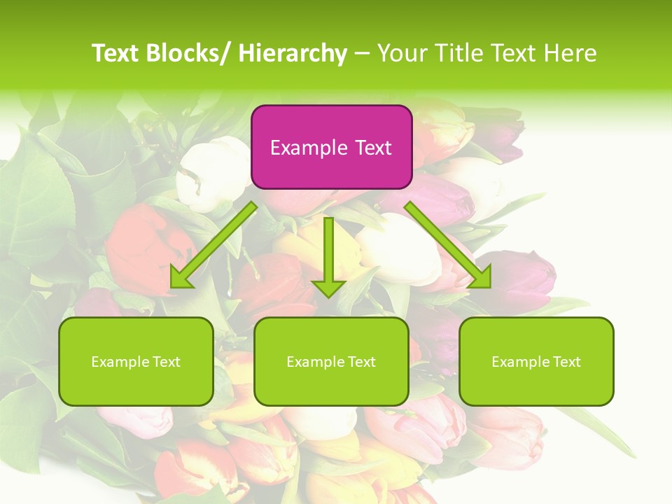 Isolated Foliage Plant PowerPoint Template