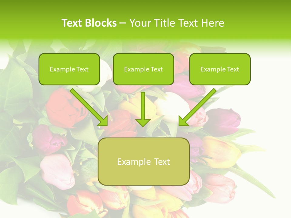 Isolated Foliage Plant PowerPoint Template