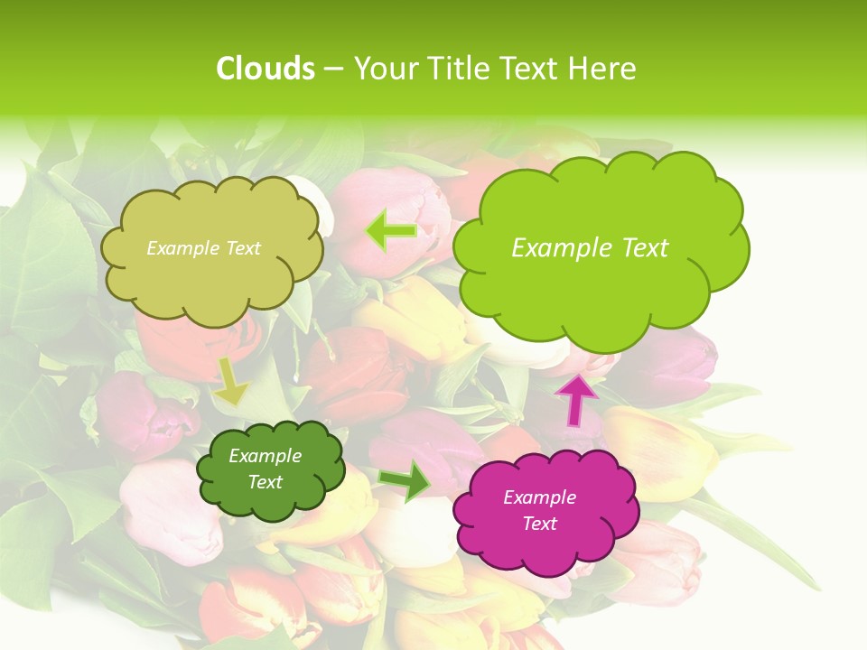 Isolated Foliage Plant PowerPoint Template