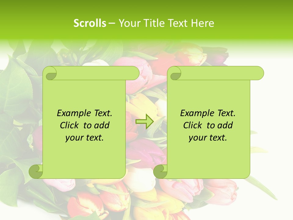 Isolated Foliage Plant PowerPoint Template